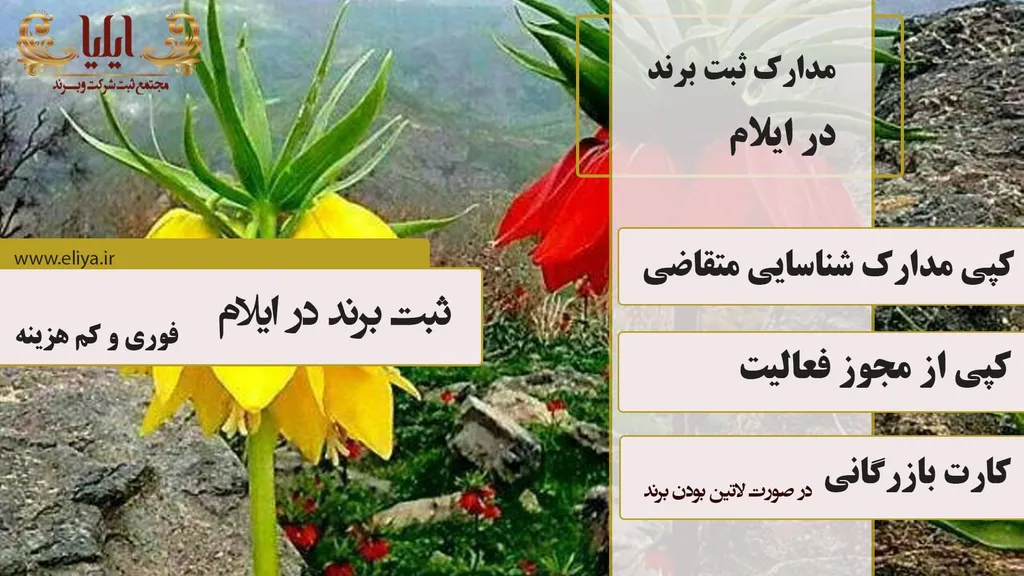 مدارک ثبت برند در ایلام