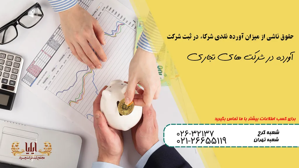 آورده در شرکت های تجاری
