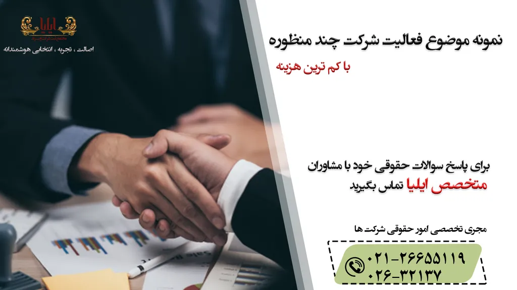 موضوع فعالیت شرکت های چند منظوره