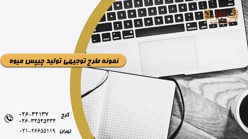 طرح توجیهی تولید چیپس میوه
