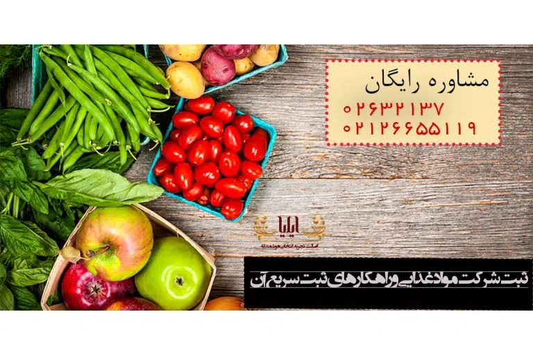 ثبت شرکت مواد غذایی و راهکارهای ثبت سریع آن